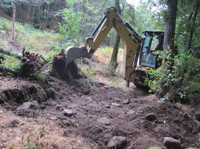 Excavaciones y O.P. Santa Marta excavadora en el bosque